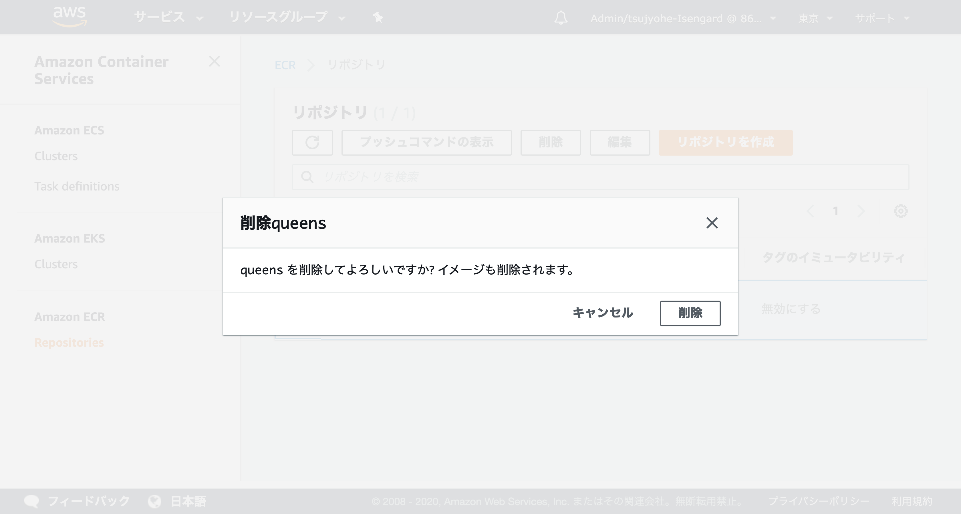 ecr delete repository 01