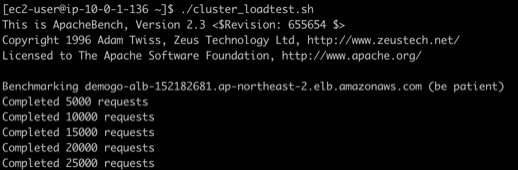 ClusterLoadTest