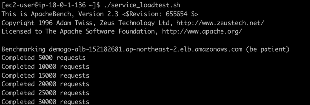 PerformLoadTest