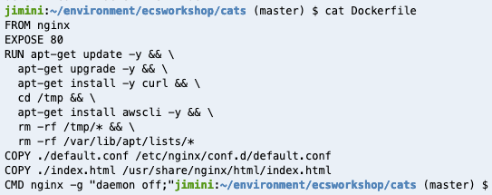 CatImage